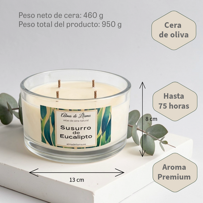 Eucalyptus Whisper scented candle (large)