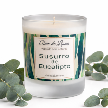 Eucalyptus Whisper aromatic candle