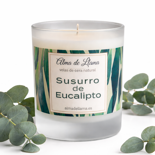 Eucalyptus Whisper aromatic candle