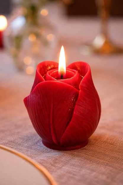 Red Christmas Ball